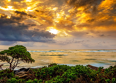 Sunrise over the Pacific Ocean from the shore of Kauai; Kauai, Hawaii, United States of America