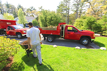 Landscaper moving mulch from a truck