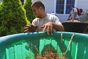 Landscapers clearing weeds into a bin at a home garden and using a blower for cleaning