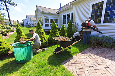 Landscapers clearing weeds at a home garden and using a blower for cleaning