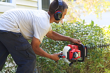 Landscaper trimming bushes with an electric trimmer