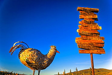 Sunset glow on the metal chicken sculpture and signpost on the hill of historic mining town Chicken, Interior Alaska in autumn; Chicken, Alaska, United States of America