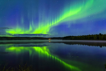 Bright green aurora dancing over Birch Lake with reflections, Interior Alaska in autumn; Fairbanks, Alaska, United States of America