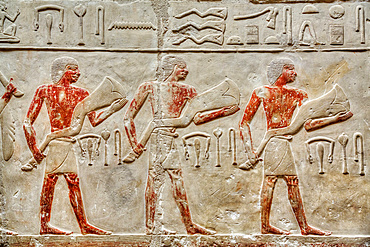 Reliefs, Mastaba of Idut, Step Pyramid Complex, UNESCO World Heritage Site; Saqqara, Egypt