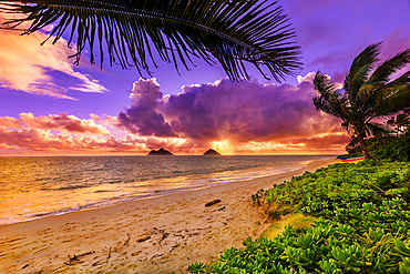 Lanakai Beach at sunrise, with the surf washing up on the sand and a view of the Mokulua Islands in the distance; Oahu, Hawaii, United States of America