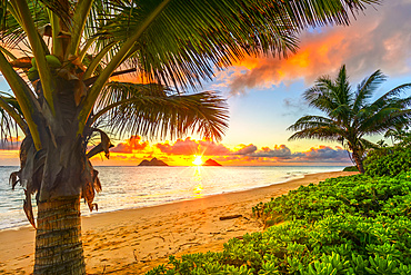 Bright sunrise over Mokulua Islands, viewed from Lanakai Beach on the coast of Oahu; Oahu, Hawaii, United States of America