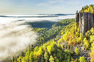 Sunrise over a misty, foggy valley in the Canadian Shield; Dorian, Ontario, Canada