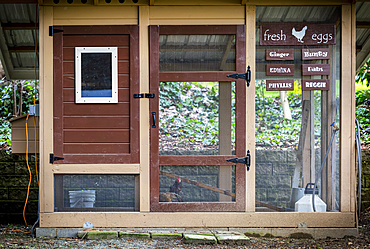 Chicken coop with sign for fresh eggs and the names of the chickens; Bothell, Washington, United States of America