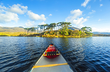 Front of a canoe on Derryclare Lough pointing towards Pine Island on a sunny day; Connemara, Galway, Ireland