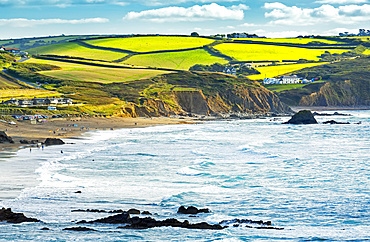 A patchwork of hilly fields bordered by trees and shrubs along the cliffs with blue sky and clouds; Cornwall County, England