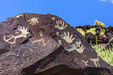 Petroglyphs on volcanic rock with sagebrush in Piedras Marcadas Canyon, Petroglyph National Monument on a sunny, spring afternoon; Albuquerque, New Mexico, United States of America