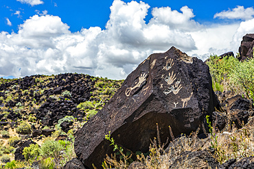 Petroglyphs on volcanic rock with sagebrush in Piedras Marcadas Canyon, Petroglyph National Monument on a sunny, spring afternoon; Albuquerque, New Mexico, United States of America