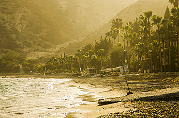 Empty beach and palm trees, Pissouri Bay; Limassol, Cyprus