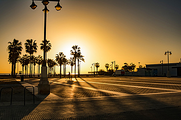 Sunrise silhouette of palm trees in Spain; Valencia, Valencia, Spain