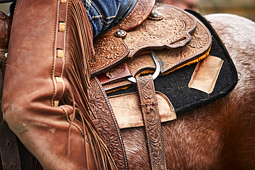 Leatherwork and closer details of a saddle and chaps to the left side; Eastend, Saskatchewan, Canada