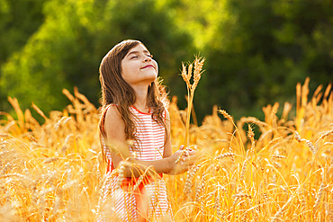 Young girl stands in a golden wheat field looking up with her eyes closed; Alberta, Canada