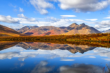 Fall colours ignite the landscape of the Dempster Highway with vibrant colours reflected as a mirror image in a tranquil lake; Dawson City, Yukon, Canada