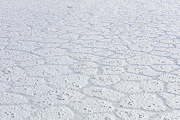 Texture of the floor in the Salar de Uyuni; Potosi, Bolivia