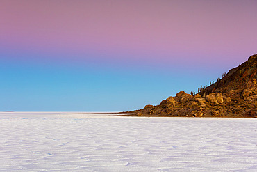 Sunset over Cactus Island in the Salar de Uyuni; Potosi, Bolivia