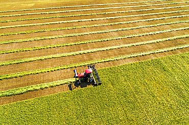 Aerial view of a swather cutting a barley field with graphic harvest lines; Beiseker, Alberta, Canada