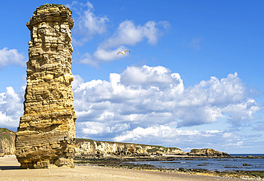 Lot's Wife Sea Stack, Marsden Bay; Tyne and Wear, England