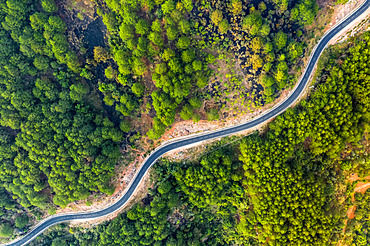 Da Lat road, drone view; Da Lat, Lam Dong Province, Vietnam