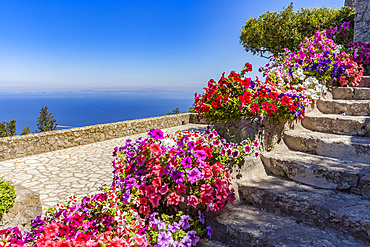 Blossoming flowers in containers lining steps on the Island of Capri with a view of the Tyrrhenian Sea, Mediterranean; Capri, italy