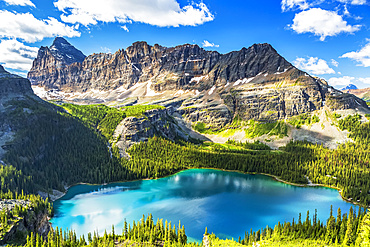 Beautiful blue alpine lake with rugged mountain in the distance with blue sky and clouds, Yoho National Park; Field, British Columbia, Canada