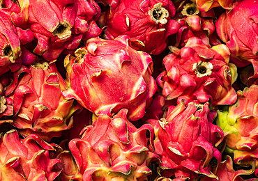 Dragonfruit for sale at Tomohon Market; Tomohon, North Sulawesi, Indonesia