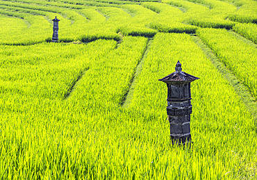 Stone lantern in the rice terraces of Selemadeq; Bali, Indonesia