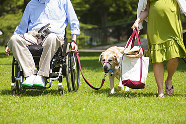 Man in wheelchair with spinal cord injury walking with service dog and pregnant wife