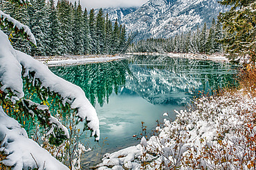 Beautiful reflections in a tranquil pond of the forest and the Rocky Mountains of Banff National Park in autumn; Alberta, Canada