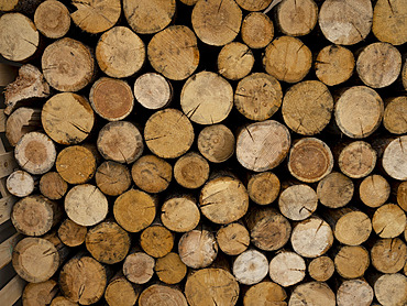 Rounds of cut wood in a pile; Whitehorse, Yukon, Canada