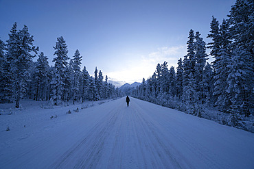 Woman walking down a snow covered road near Whitehorse; Yukon, Canada