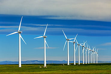 Rows of large wind turbines on a green field with clouds and blue sky and a mountain range in the distance, North of Waterton; Alberta, Canada