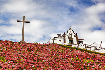 Cross and blossoming flowers on a hillside at Hermitage of Nossa Senhora da Paz; Soa Miguel, Azores, Portugal