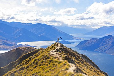 Man standing on mountaintop at Roys Peak waving the New Zealand flag after the strenuous hike to the lookout to see the spectacular views of Wanaka Lake and surrounding mountains of the Southern Alps; Otago, New Zealand