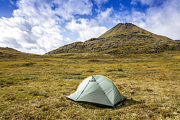 Green backpacking tent set up on the tundra with mountain in background on a sunny summer day in the Brooks Range, Arctic National Wildlife Refuge (ANWR); Alaska, USA