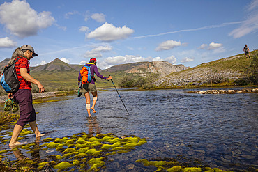 Two caucasian women walk barefoot across a creek with moss in it towards the other shore where a man is waiting for them on a sunny summer day in the Brooks Range, Marsh Fork Valley, Arctic National Wildlife Refuge; Alaska, United States of America