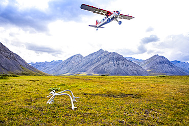 Dehavilland Beaver taking off from tundra bush airstrip in late summer, with a caribou rack marking the end of the runway, Brooks Range, Upper Marsh Fork Valley, Arctic National Wildlife Refuge; Alaska, United States of America