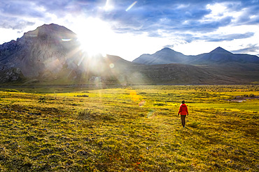 Woman wearing a red rain coat walks on the tundra towards the setting late summer sun in the Brooks Range, Arctic National Wildlife Refuge; Alaska, United States of America