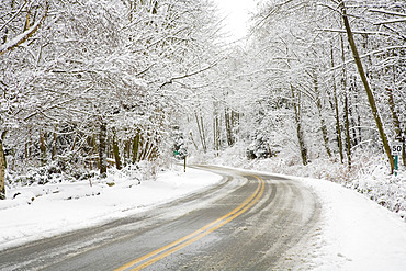 Imperial Drive, Pacific Spirit Regional Park, Point Grey, Vancouver, British Columbia, Canada