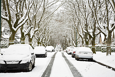 Winter, West Point Grey, Vancouver, British Columbia, Canada