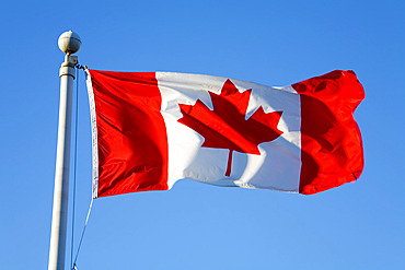 Canadian Flag