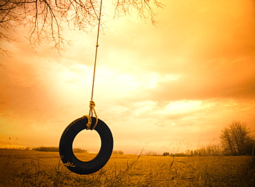 Tire Swing