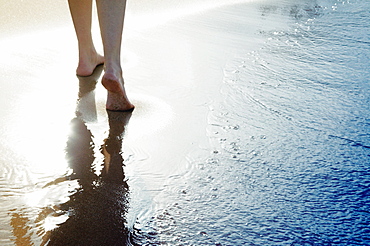 A Peaceful Walk On The Beach