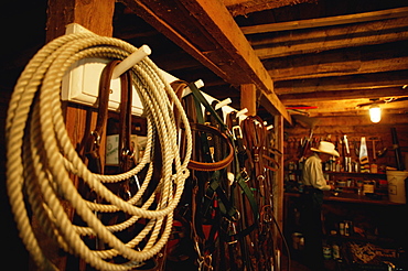 Cowboy In A Barn