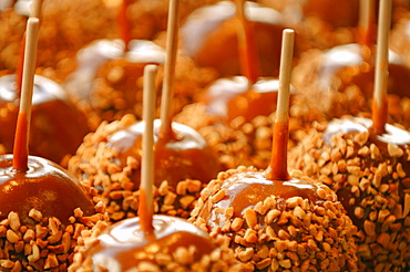 Caramel Apples With Nuts