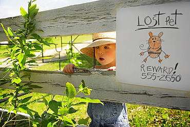 Boy Searching For Lost Cat