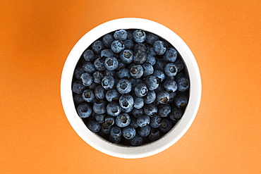 Blueberries In A White Bowl On An Orange Background